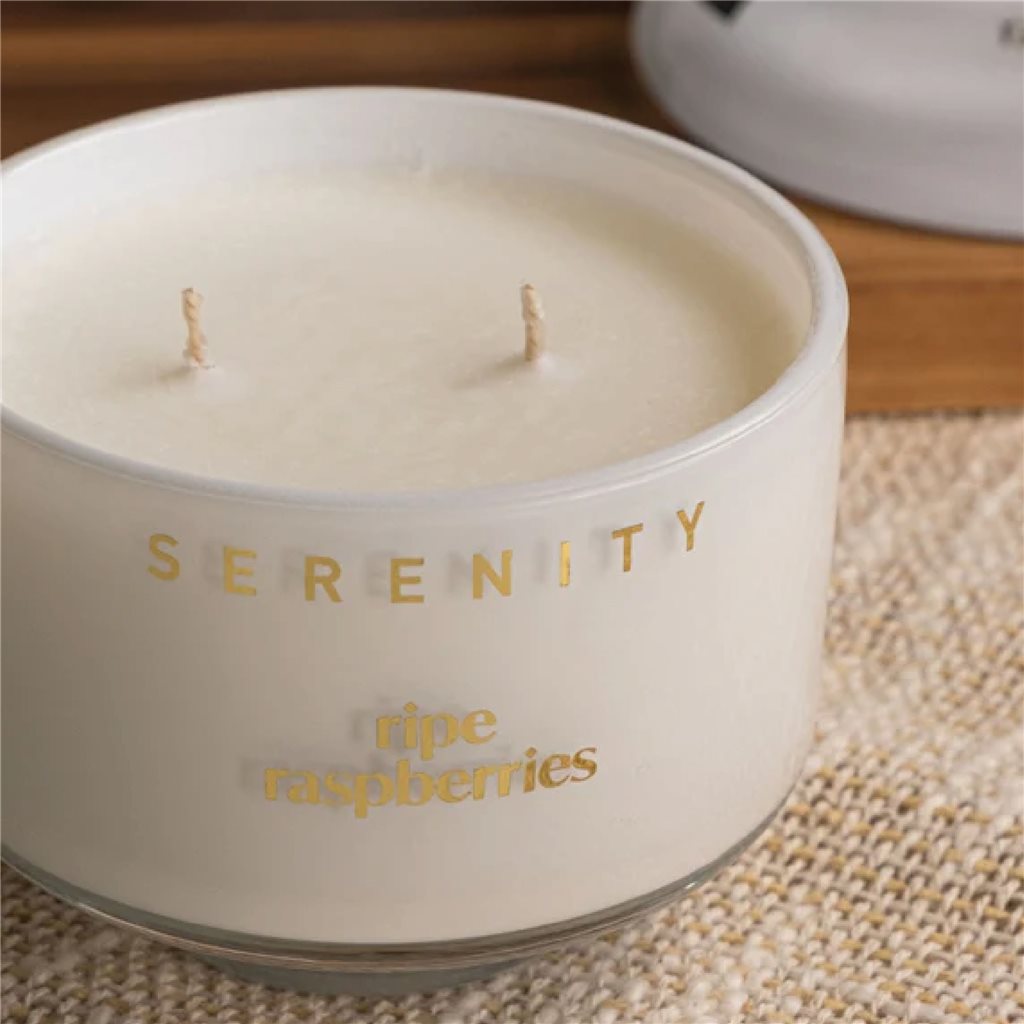 VELA AROMATIVA 230G RIPE RASPBERRIES GRIS