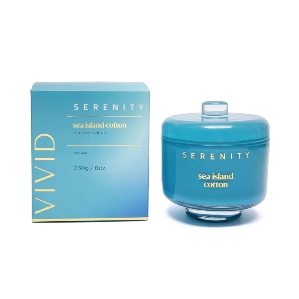 VELA AROMATIVA 230G BRISA MARINA