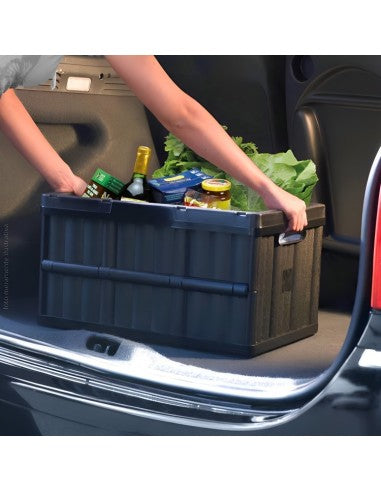 Caja plegable Negro 52x36x29 cm