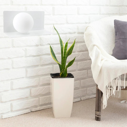 ARTEFACTO DECORATIVO DE PARED TODD - BLANCO