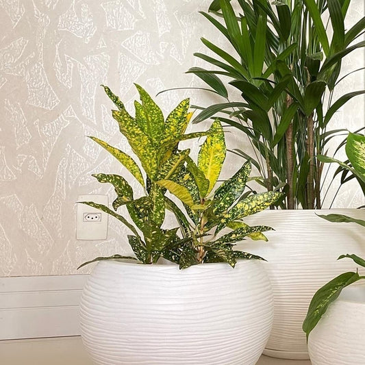 MACETA 27X24CM FLORENCA SISAL BLANCA