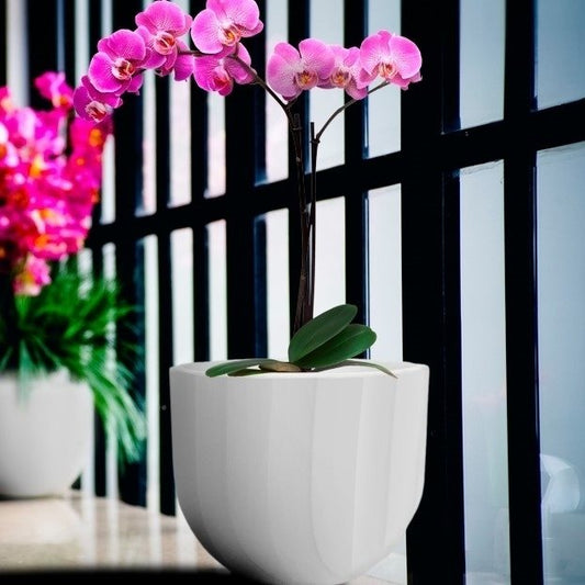 MACETA 15X15CM SPELLO ONDULATO BLANCA