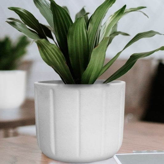 MACETA 15X15CM SPELLO PILASTRI BLANCA