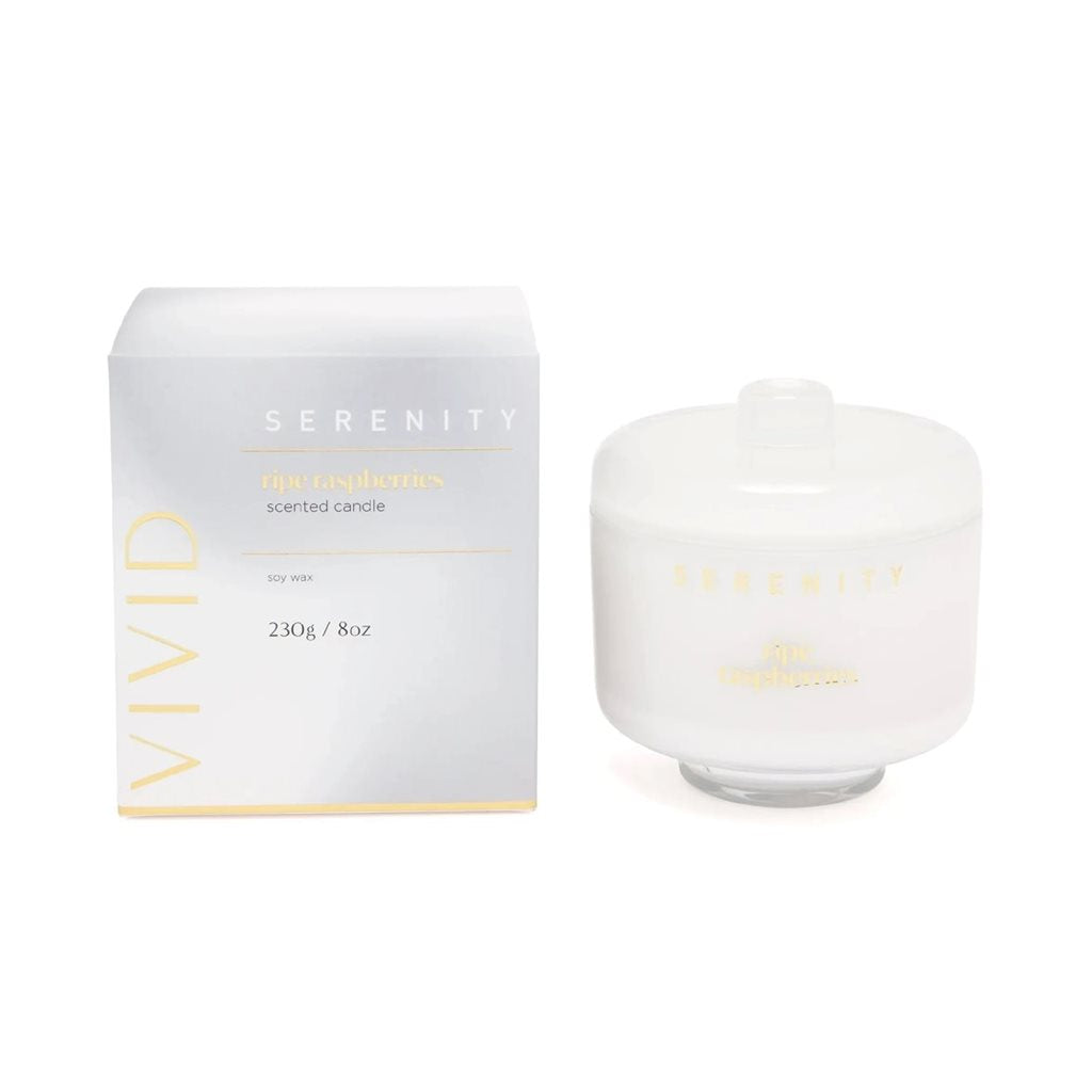 VELA AROMATIVA 230G RIPE RASPBERRIES GRIS