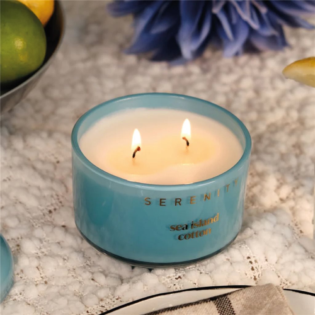 VELA AROMATIVA 230G BRISA MARINA