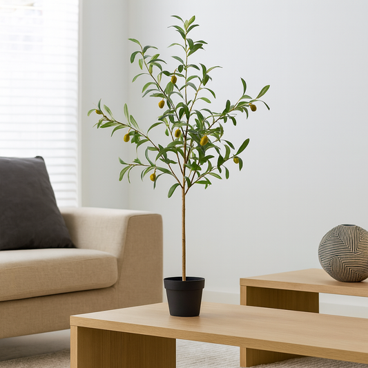 ÁRBOL OLIVO CON FRUTA