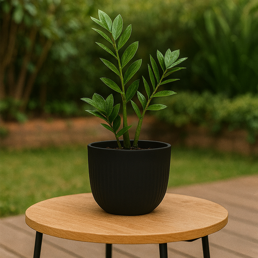 MACETA 15X15CM SPELLO RISCHIO NEGRA