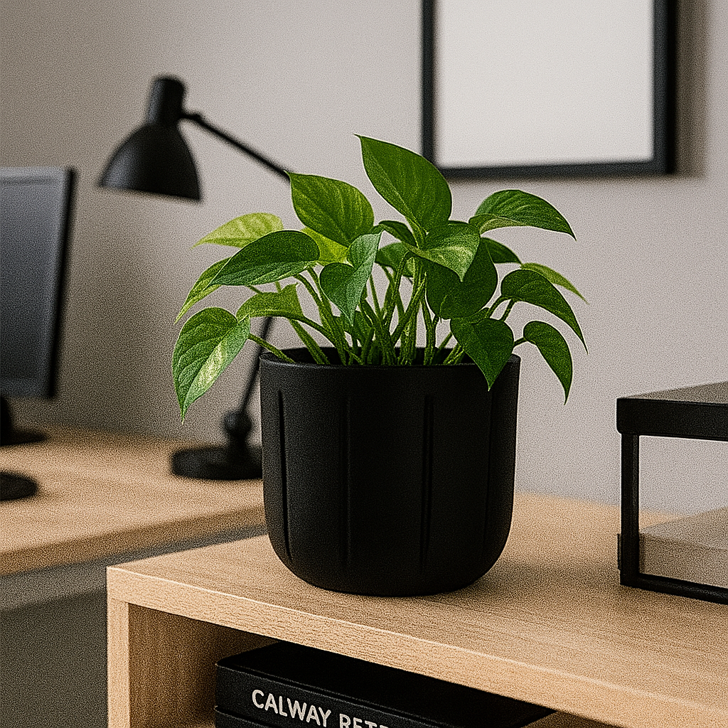 MACETA 15X15CM SPELLO PILASTRI NEGRA