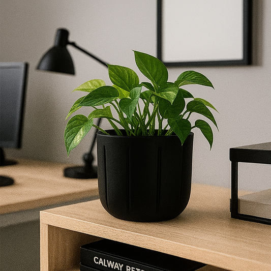 MACETA 15X15CM SPELLO PILASTRI NEGRA