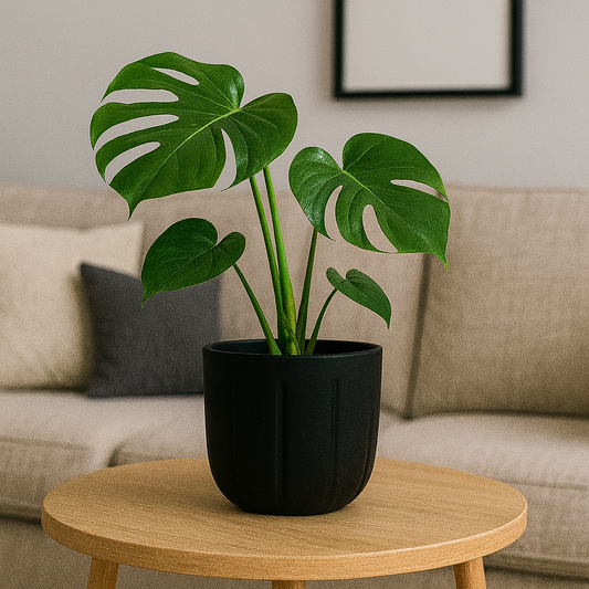 MACETA 15X15CM SPELLO ONDULATO NEGRA