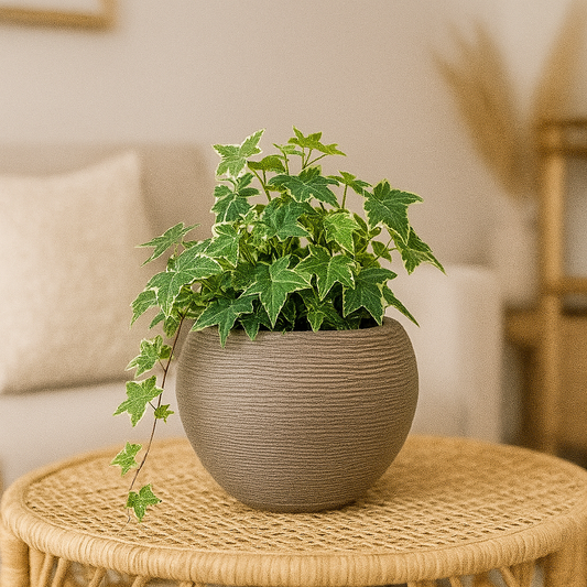 MACETA 17X19CM FLORENCA SISAL EFECTO PIEDRA BEIGE