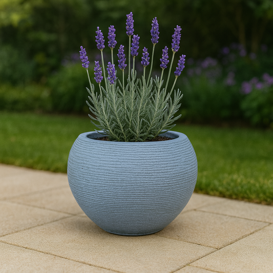 MACETA 27X24CM FLORENCA SISAL EFECTO PIEDRA GRIS