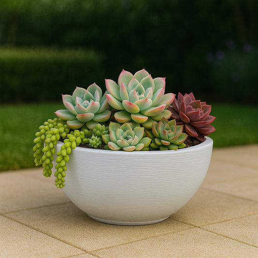 MACETA 44X19CM AMSTERDA GRAPHITO BLANCA