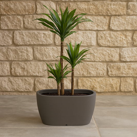 MACETA "ANDALUZ" 80 X 40CM. SIMIL CEMENTO