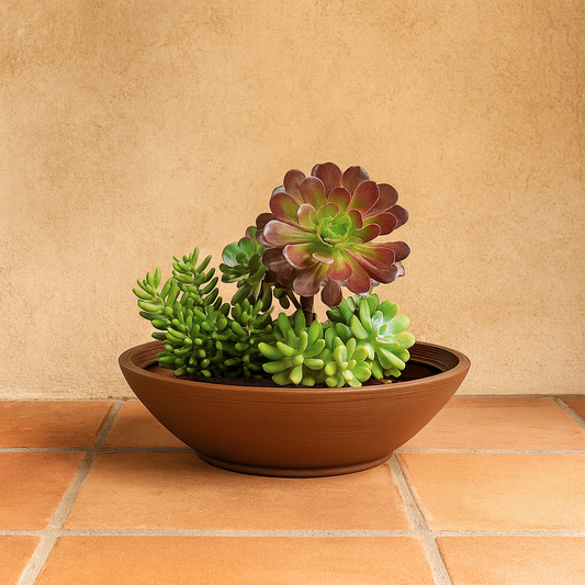 MACETA "INDI" Ø55 X 17CM. MARRON C/ PLATO