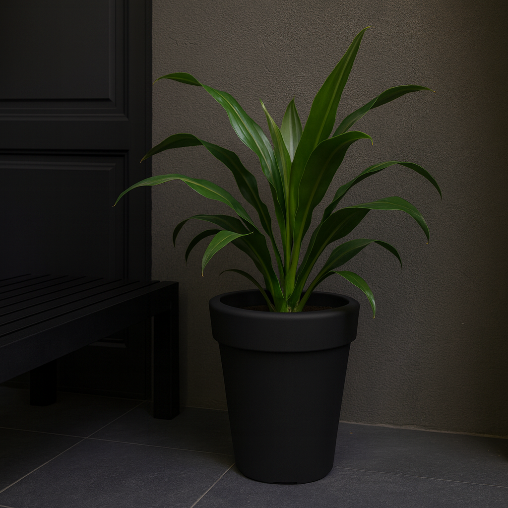 MACETA "GIPSY" Ø45 X 55CM. GRAFITO OSCURO