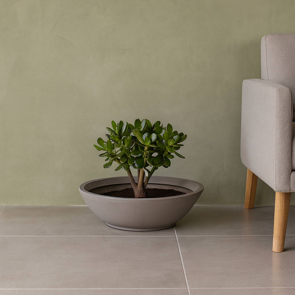 MACETA "INDI" Ø40 X 13CM. SIMIL CEMENTO C/ PLATO