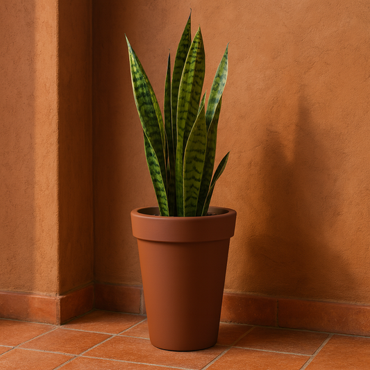 MACETA "GIPSY" Ø65 X 90CM. MARRON