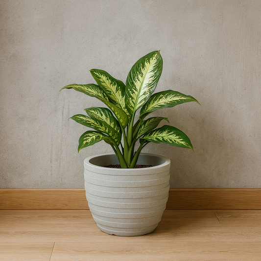 MACETA "INCA" Ø53 X 45CM. SIMIL MARMOL