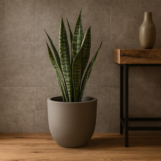 MACETA "LAOS" Ø42 X 38CM. SIMIL CEMENTO