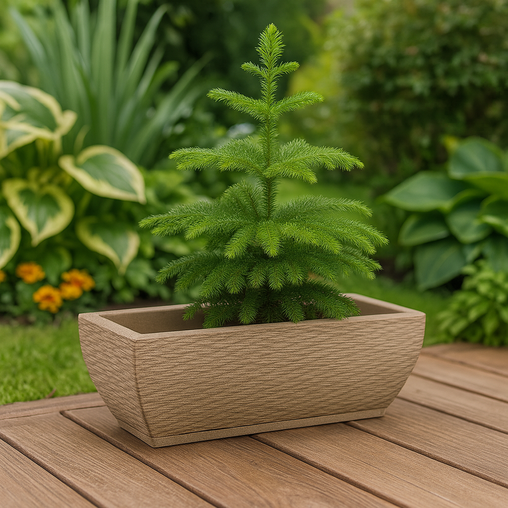 MACETA 48X16CM AMSTERDAM GRAPHITO EFECTO PIEDRA BEIGE