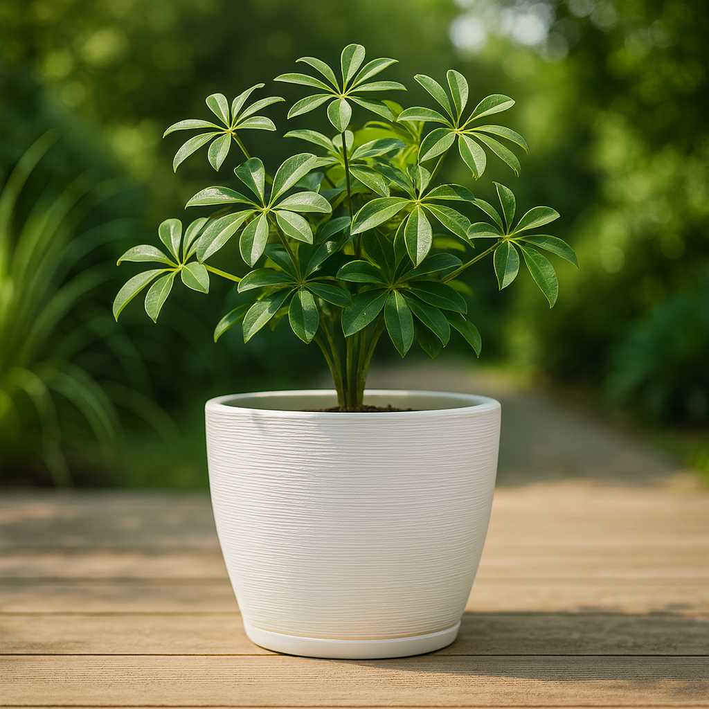 MACETA 27X28CM AMSTERDA GRAPHITO BLANCA