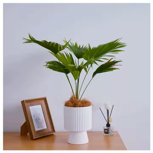 FLORERO CERAMICA RUST 14X14X18 LINEAS