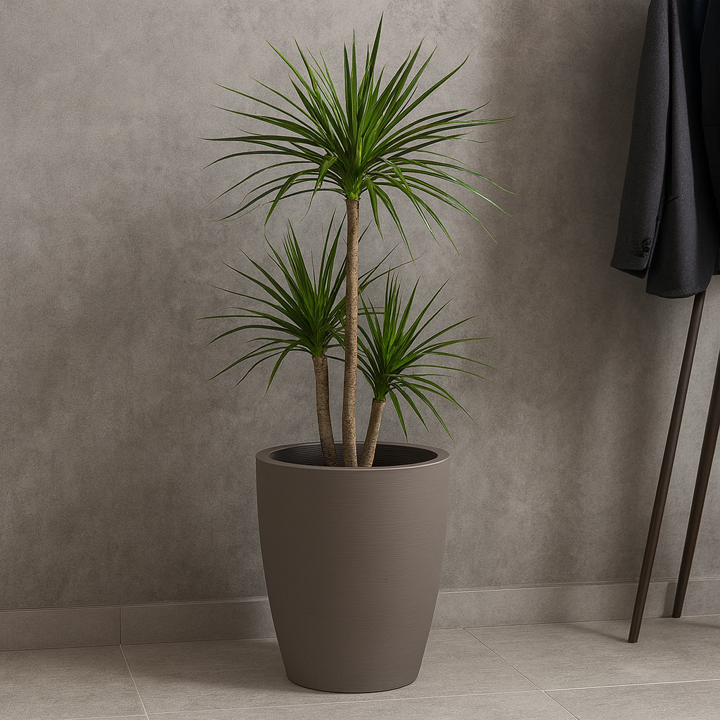 MACETA "THAI" Ø53 X 67CM. SIMIL CEMENTO