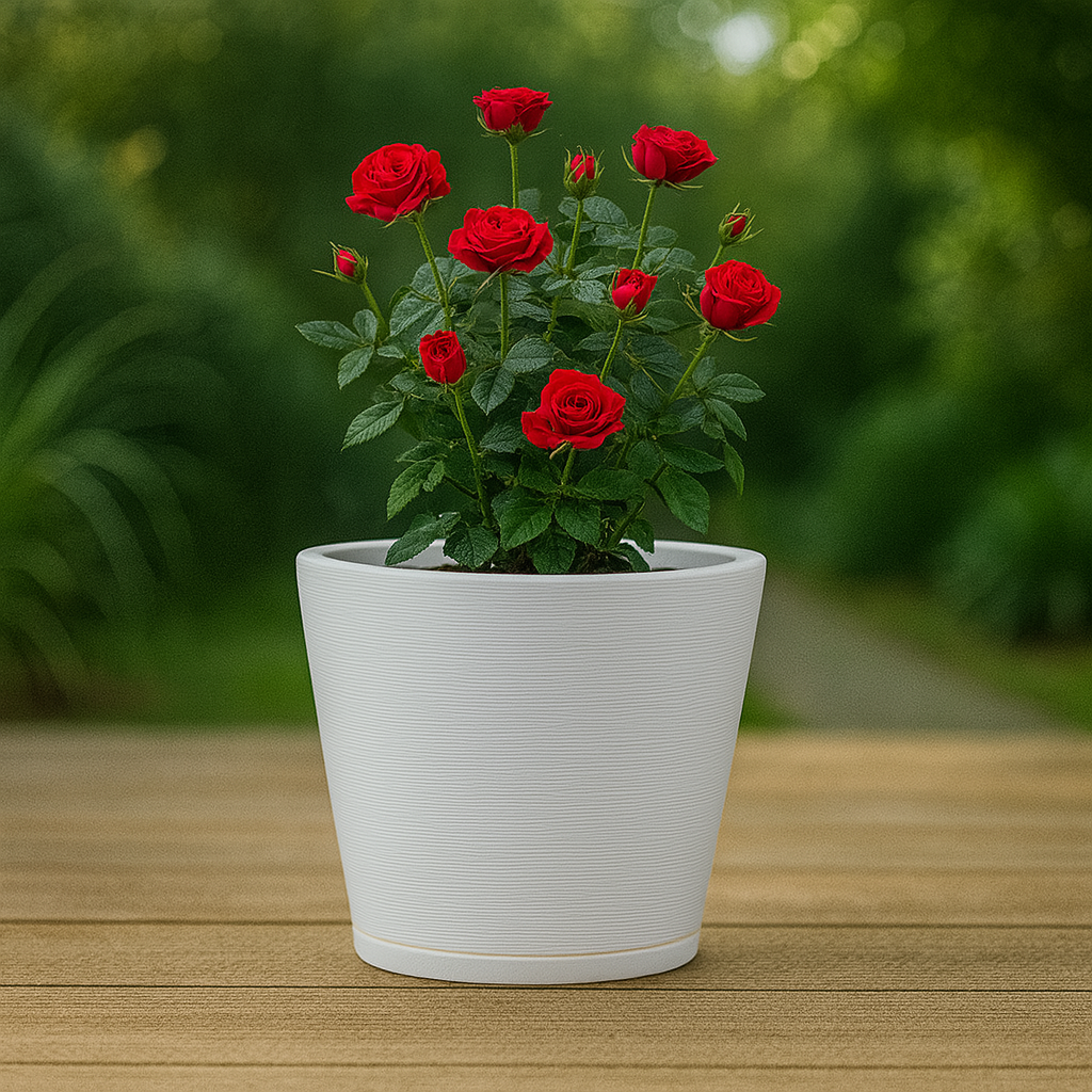 MACETA 34X35CM GENEBRA GRAPHITO BLANCA