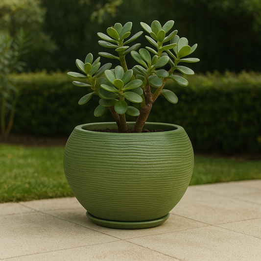 MACETA 27X24CM FLORENCA SISAL EFECTO PIEDRA VERDE